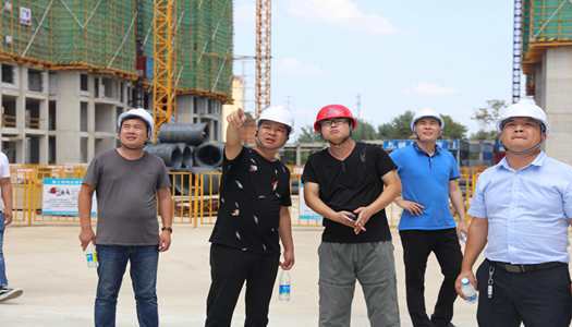 米兰在线(中国)有限公司董事会巡检圆满完成